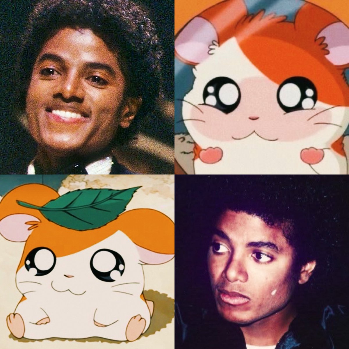 meowpplehead's tweet photo. 🧡— he’s like hamtaro in a way!! https://t.co/YmPipIGOU1