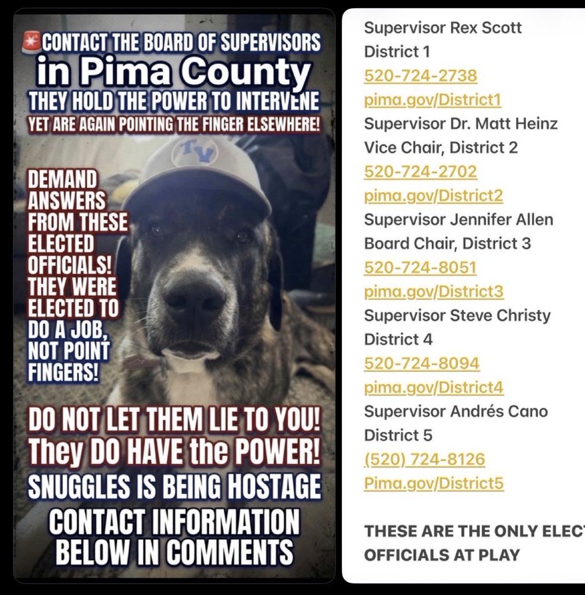 REALDCWATCHER's tweet photo. This is the women that refuses to drop #SaveSnuggles case. Let Snuggles come home 😔🙏🐾 he has been held and drugged for almost an entire year 🤬 @JudgeJeanine @LaraLeaTrump

THE WORLD IS WATCHING PIMA COUNTY ARIZONA. LAURA CONOVER DO THE RIGHT THING. https://t.co/3zTm7s5rMN