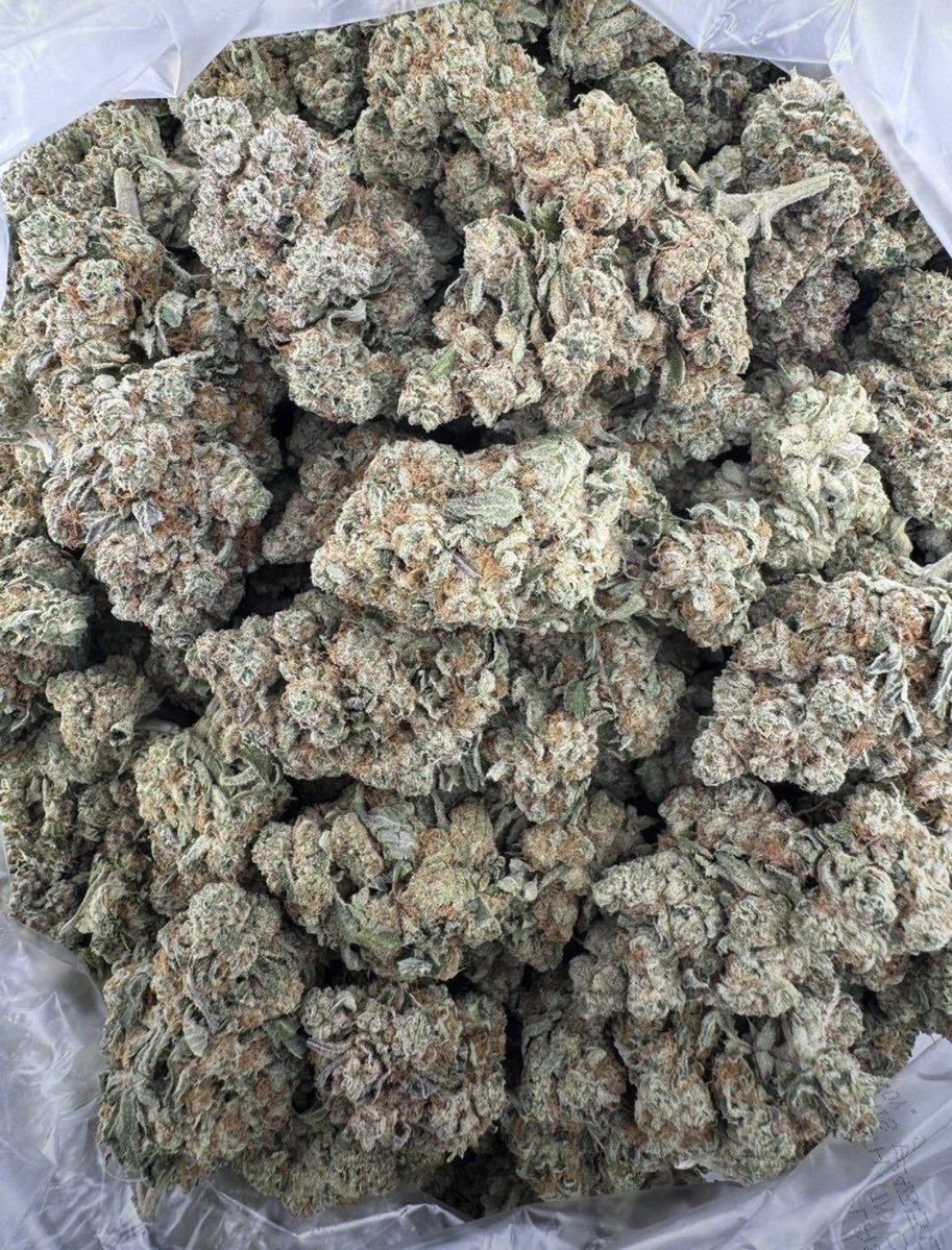 Darius_buds420's tweet photo. Pinnacle deps
$700p

AVAILABLE IN BIT N BULK 📦
☎️ORDER ON WHATSAPP 
+1 (518)932-6815

#weed #plugs #zaza #weedstore #drugstm #drug https://t.co/RaJukdk7Fv
