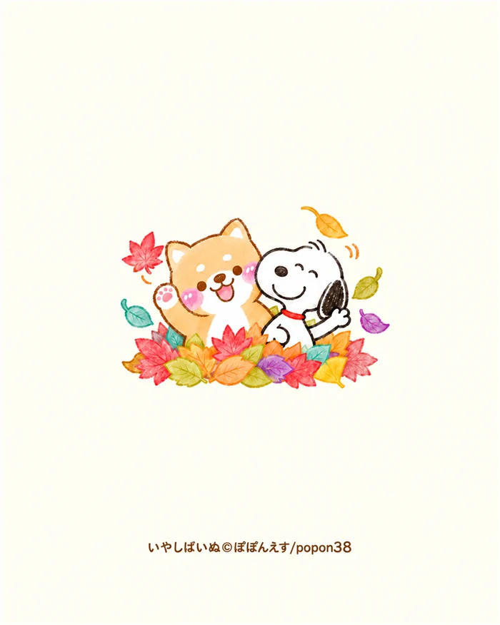 ぽぽんえす｜いやしばいぬ®🍠🐶🐾 (@iyashibainu1227) / X