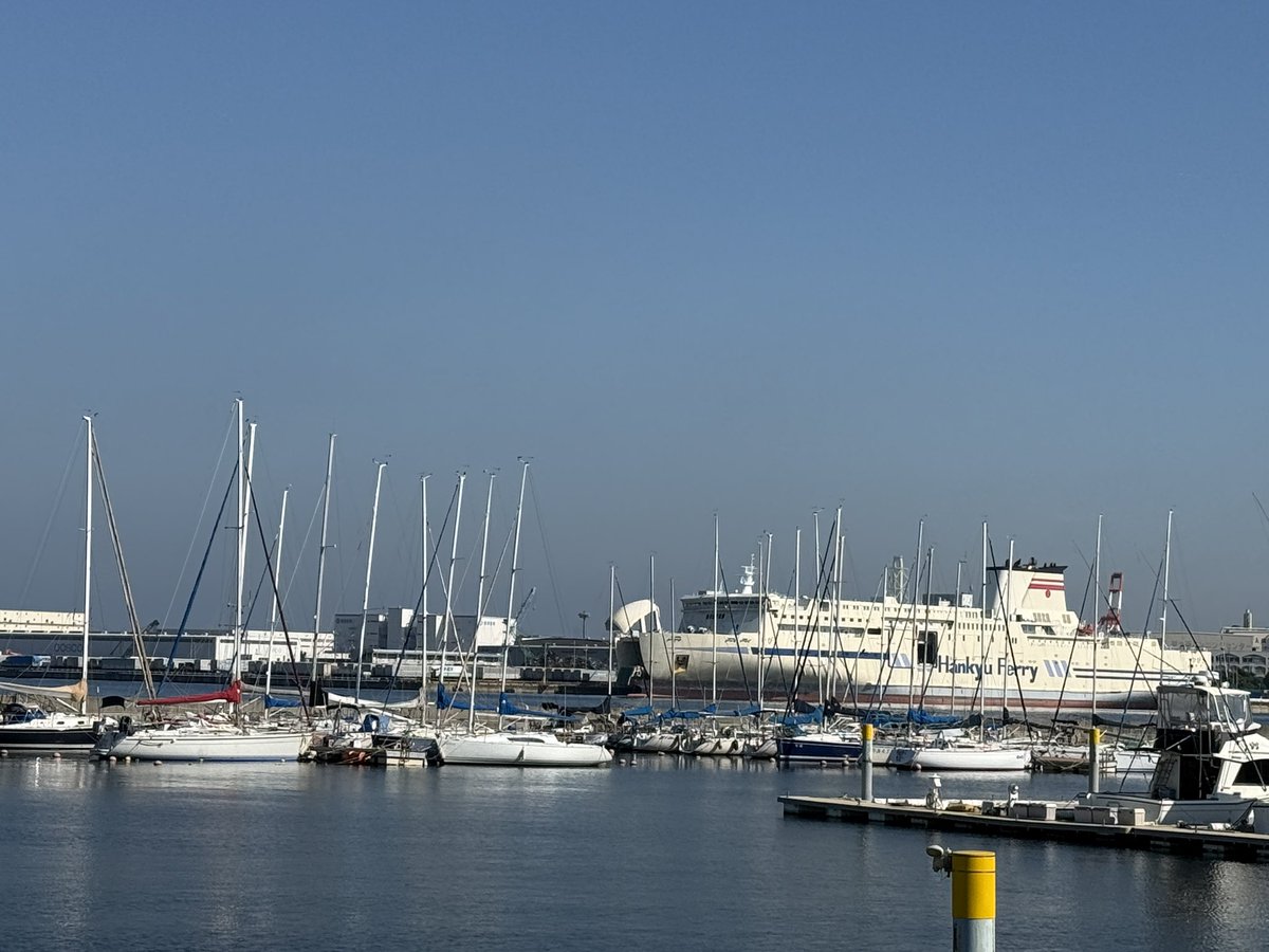 oceanmarine00's tweet photo. おはようございます！
本日の泉大津市はほぼ雲がなく、快晴です！
風もほぼ吹いてなく、とても過ごしやすいです！！
今日も一日頑張ってください！！
＃イマソラ　＃泉大津市
＃企業公式が地元の天気を言い合う
 #日本酒の日
 #メガネの日 https://t.co/E26huGIKal