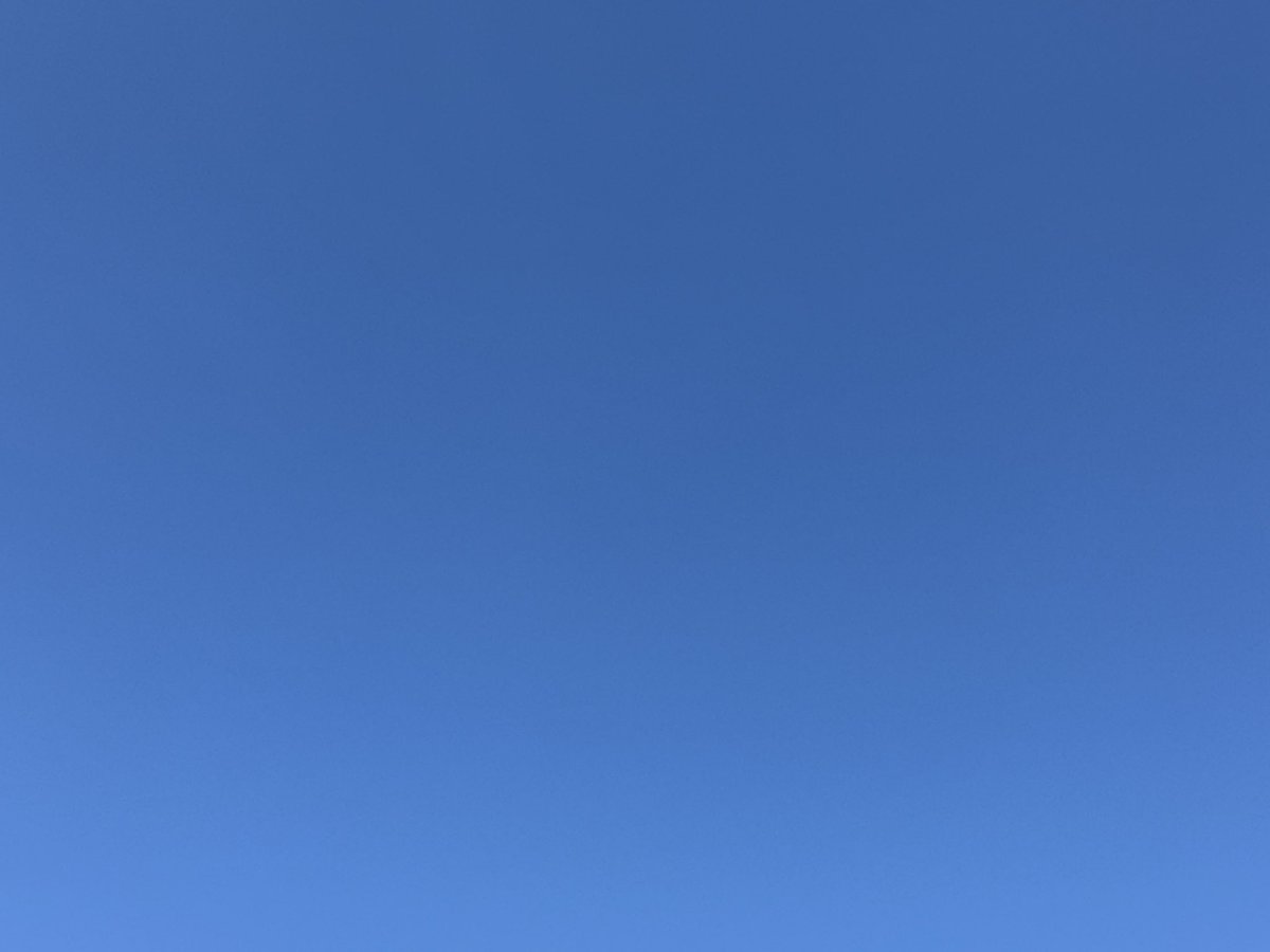 oceanmarine00's tweet photo. おはようございます！
本日の泉大津市はほぼ雲がなく、快晴です！
風もほぼ吹いてなく、とても過ごしやすいです！！
今日も一日頑張ってください！！
＃イマソラ　＃泉大津市
＃企業公式が地元の天気を言い合う
 #日本酒の日
 #メガネの日 https://t.co/E26huGIKal