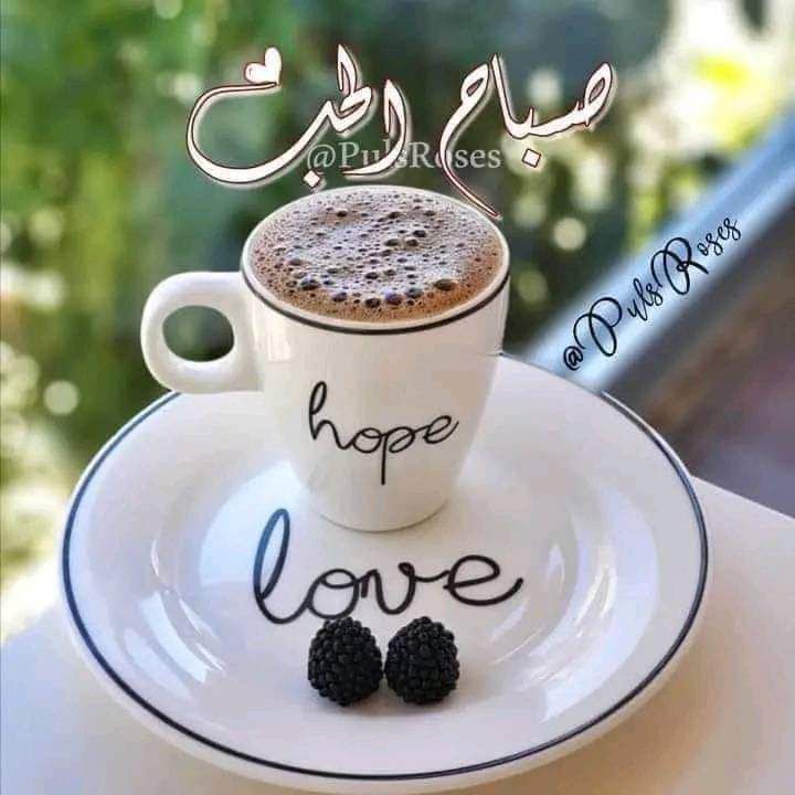 OcivJ's tweet photo. أشرقت أنوار الصباح..وفتحتُ النوافذ

فقبَّلَتْني الشمسُ بأشعَّتها الذهبية..فأحسستُ ُ
بأنها أَلْقَتْ عَلَيَّ بِظِلالها أنواراً من الأملِ 

والتفاؤل بنهار إن شاء الله يكون جميلاً 

ومشرقاً..

صباحكم  ورد  وسكر https://t.co/9lZKFnxlKw
