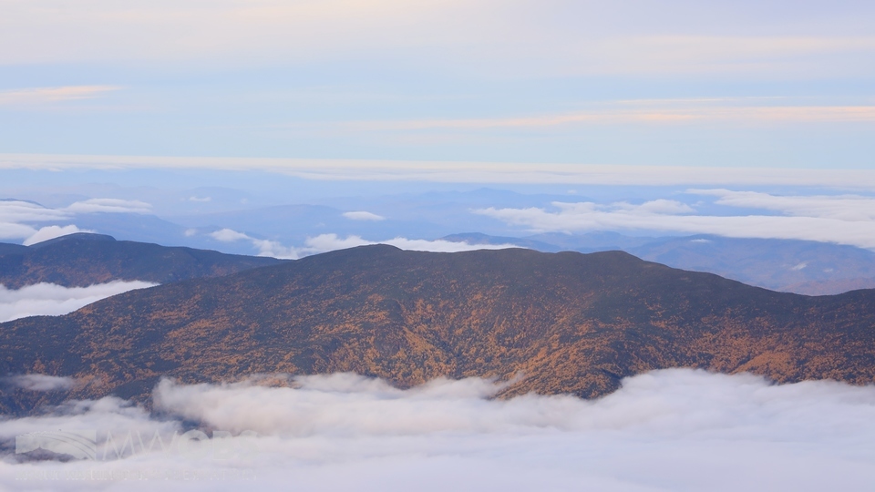 MWObs's tweet photo. Close to sunset today (30 Sept 2026), some soft, diffused rays of sunshine stretched over to Middle Carter, highlighting some veins of fall foliage running up the slopes above an undercast layer that settled into Pinkham Notch.

#NHwx #mountains #undercast #fall #fallcolors #NH https://t.co/dGovMyecge