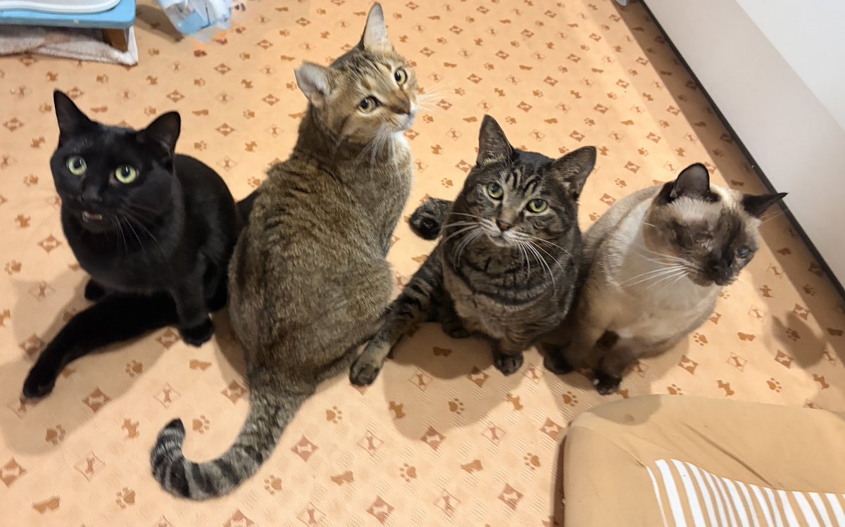 LuckyStar111222's tweet photo. 整列 https://t.co/OZIgvSlVuW