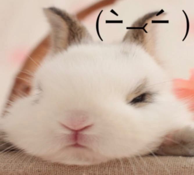 flutterbunbun's tweet photo. https://t.co/YIRpp6Vl5t