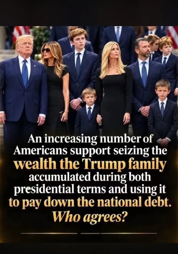 jasonllevin's tweet photo. Seize the Trump Wealth 👍 https://t.co/tk1KxbU7Lp