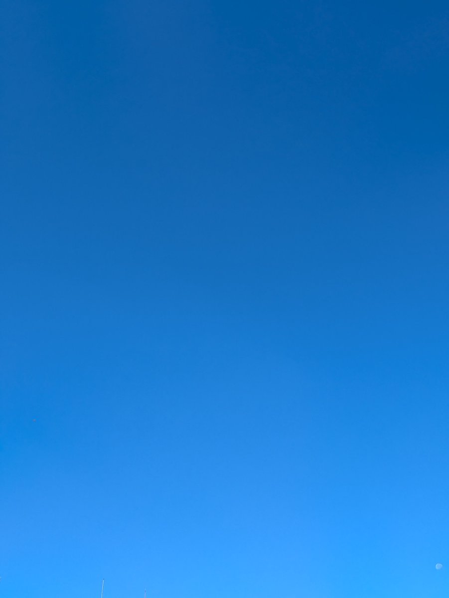 green_____blue's tweet photo. 初日108
8日目116
前楽113
東楽120
100分目標言ってたから早口もﾄﾞﾝﾄﾞﾝ進化していくのかなどうかなと思いながらｶﾃｺ終了と同時にｽﾏﾎ電源入れて毎回時間確認してたのだけどｽﾄｷｬﾀｲﾑ長かったりで全く参考にならなかった件について毎回かわかわ楽しませてくれてありがとう https://t.co/2eH8r5Z1wt