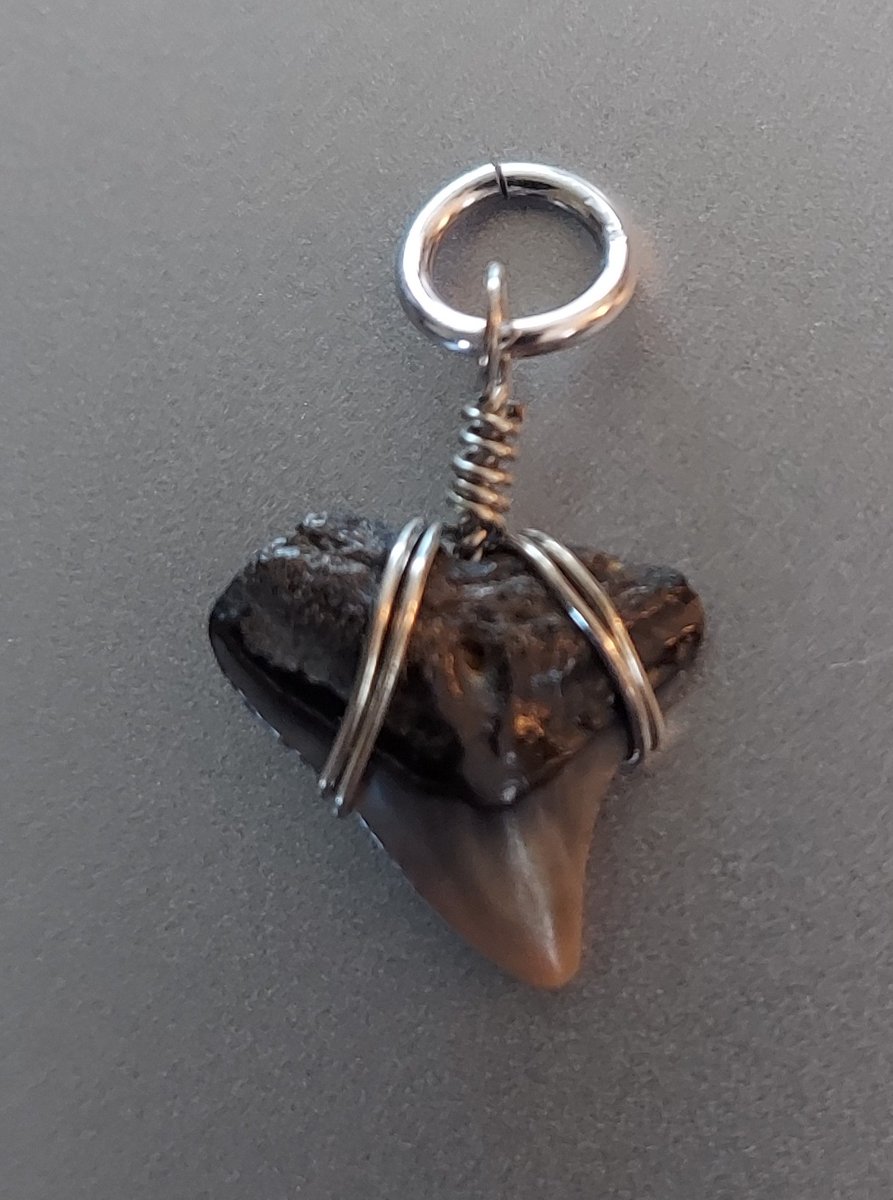 AngelaRienerth's tweet photo. !!!35% off!!! Sharktooth Charm, Vendor #629, available at Blue Crow Antique Mall, Painter, Va. @bluecrowantiques #jewelry #charm #sharktooth #vintage #antique #collectible #collector #collection #collectorsarewatching https://t.co/TEqjrWPKj7