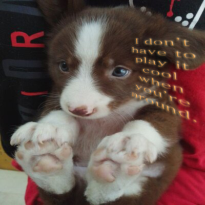 12d456_og33park's tweet photo. #doglife https://t.co/M79WdofgpB