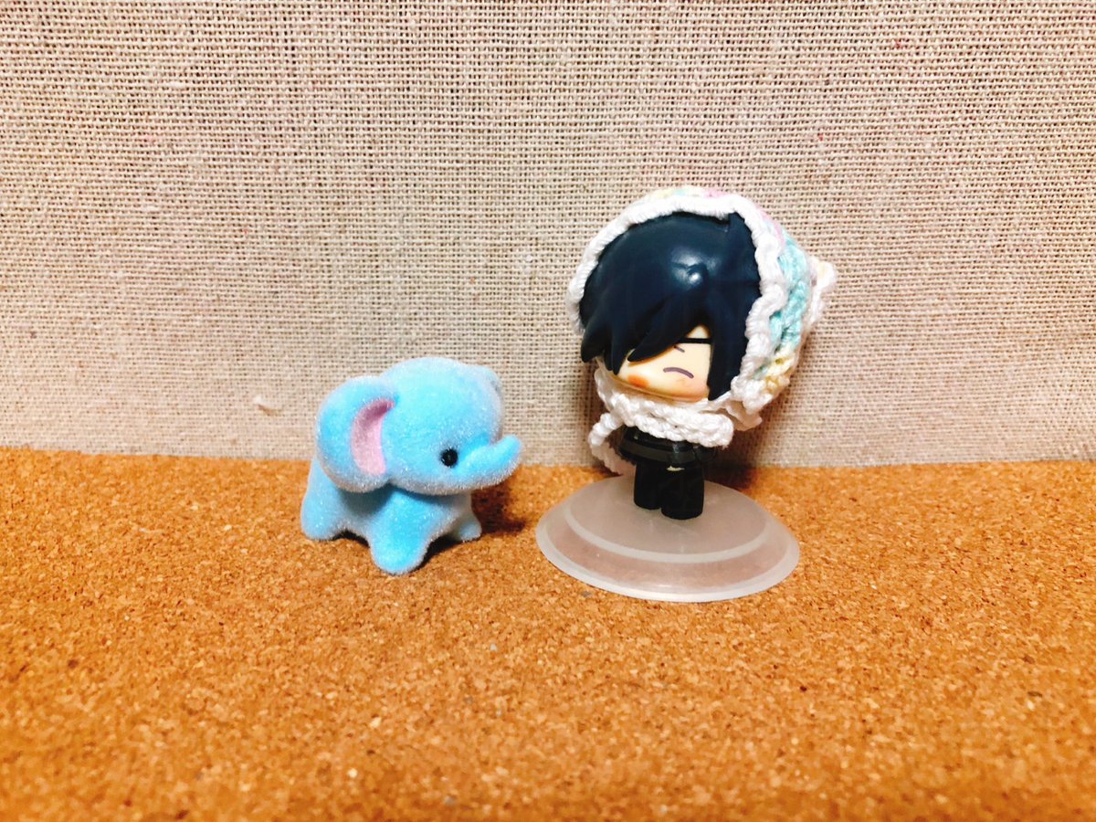 isomura69's tweet photo. 🌱ちんたま　ちあちあ🌱
🐘ちんようび！🩵 https://t.co/bUlqhh0t1A