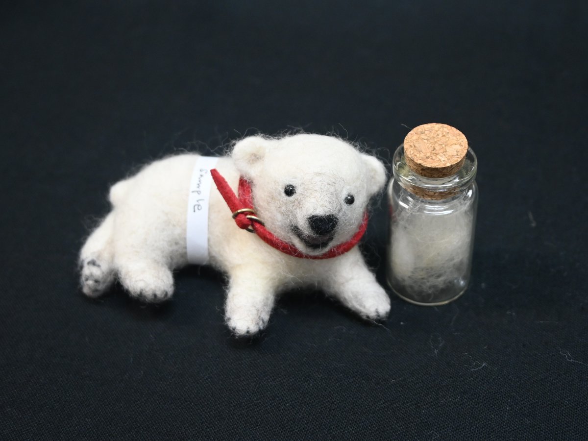 tobezooofficial's tweet photo. 🐻‍❄️#ピース27歳 記念グッズのお知らせ🐻‍❄️

#ホッキョクグマ の #ピース が12月2日に27歳を迎えることを記念して、27セット限定でピースの毛と羊毛の混毛フェルト人形を販売します✨
ぜひご応募下さい🐾
⚠️販売方法は事前応募による抽選販売です
#とべ動物園
詳細はこちら⬇️
https://t.co/W8m6sHCJck https://t.co/sY6S0GZob9