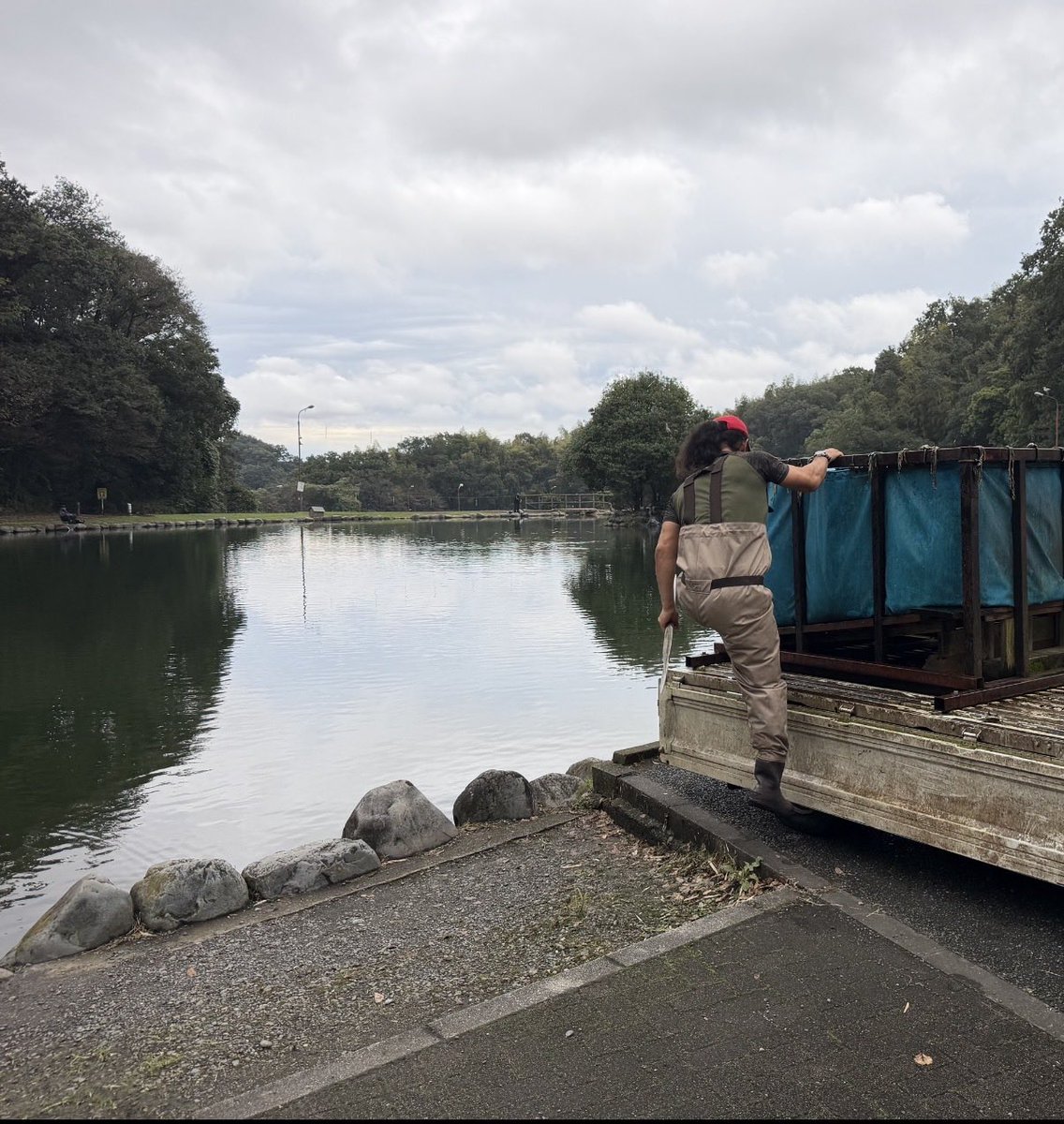 troutlex's tweet photo. 王禅寺14時〜20時
レンジと回遊タイミングを当てればノアとダディ1.2でボコボコ。当てないと無。 https://t.co/UceXqK71jn