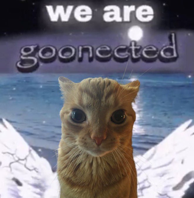gakstercat's tweet photo. https://t.co/ZMerlc9OKn