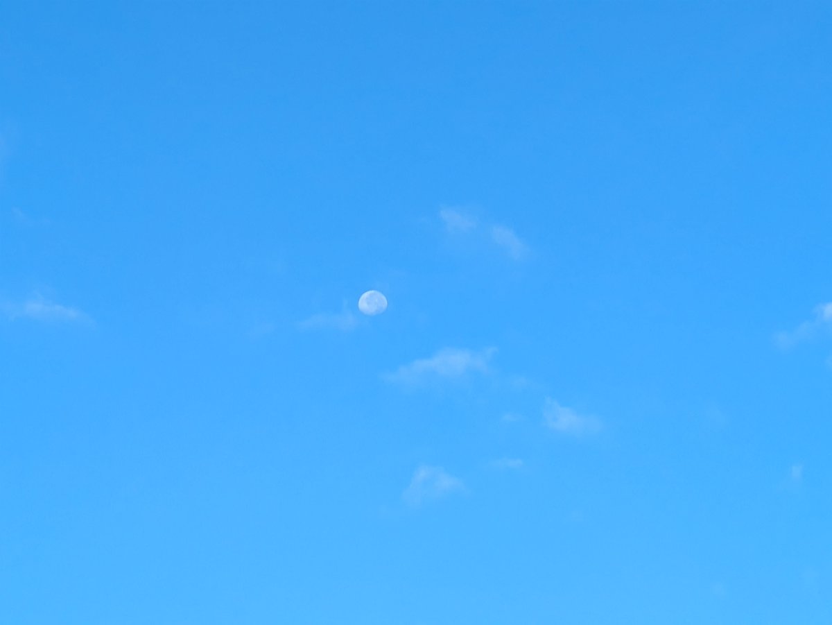 tanutanu_2272's tweet photo. 白い月発見……👀🌕 https://t.co/5v9yJifjBe