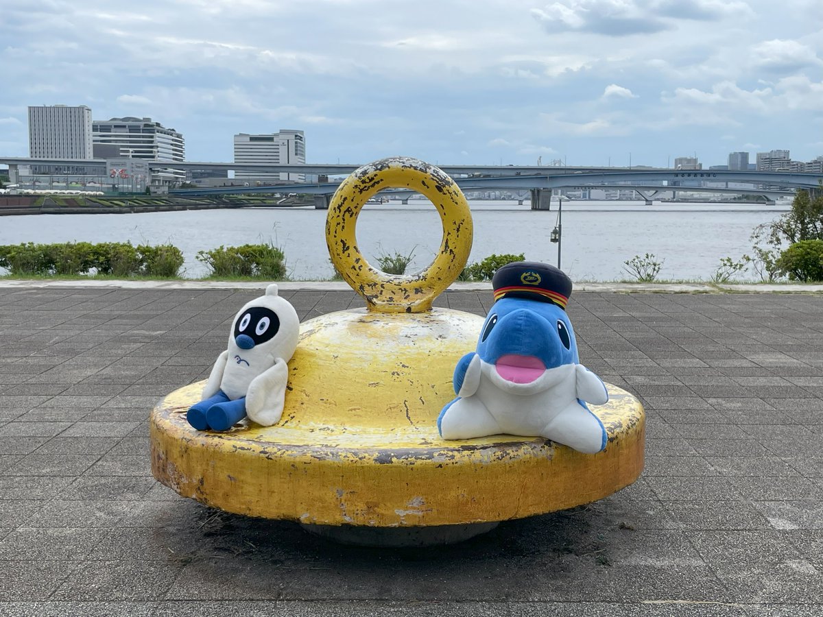 twr_official's tweet photo. #りんかる だよ🐬
栞子ちゃん、お誕生日おめでとう🎉🍰㊗️
いつでも真っ直ぐ、直向きに頑張る栞子ちゃんに勇気を貰っているよ🔖
これからの活躍もずっと応援しているよ♪✨

今回は、#ゆりも と一緒に栞子ちゃんゆかりの場所を巡ってみたよ！
#りんかい線 #ゆりかもめ #lovelive #虹ヶ咲 https://t.co/X7gBs14oOP