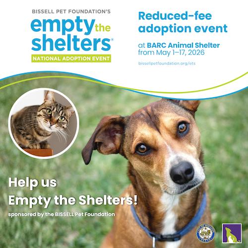 DianeLegacy1's tweet photo. 🐾 Adopt or Buy? The Debate Continues

Shelters across the U.S. are pushing adoption events to help more dogs and cats find homes.

Should people prioritize adoption over buying pets from breeders?

What’s your take? 👇

#AdoptDontShop #Pets #Dogs #Cats #AnimalRescue https://t.co/HQT7tTl4js