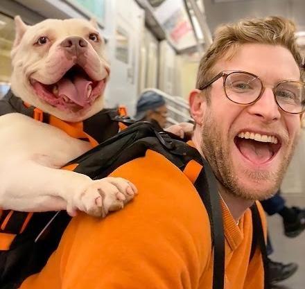 DianeLegacy1's tweet photo. 🐶 One Chance Can Change a Dog’s Life

A NYC shelter dog named Missy met a stranger at Starbucks—and was adopted just days later.

Should shelters use more creative ways to showcase adoptable pets? ❤️

#Dogs #PetAdoption #RescueDogs #NYC https://t.co/ftgnvd6lBm