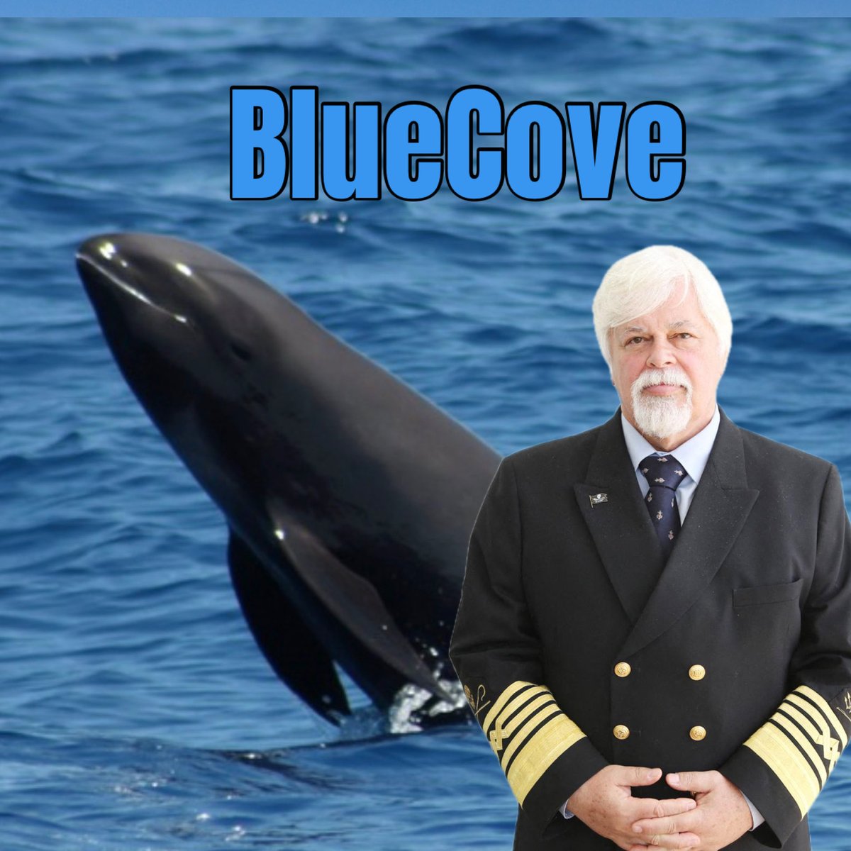 moejunko's tweet photo. #BlueCove 🩵
#EmptyHanded
#太地
2026 Oct,1st Thu
手ぶらで戻りました。
今日も野生のイルカは安全です🐬
@POTUS
@takaichi_sanae
@KunitoSeko https://t.co/39cLCqol8h