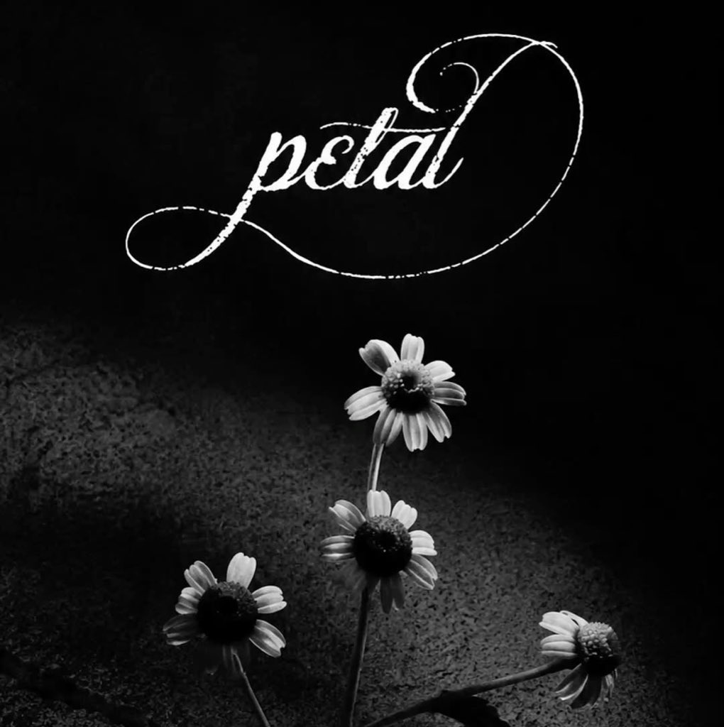 theegrandeheels's tweet photo. petal - the streaming project

everyone has to stream the chosen song at least 10 times today

day 3 — petal https://t.co/mbYqt8zcjL