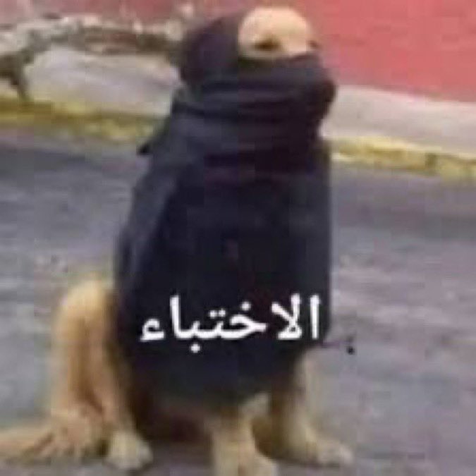 O7e_z's tweet photo. @iM9HFC S وهو داخل بحساب وهمي https://t.co/KQGOTRtWQl