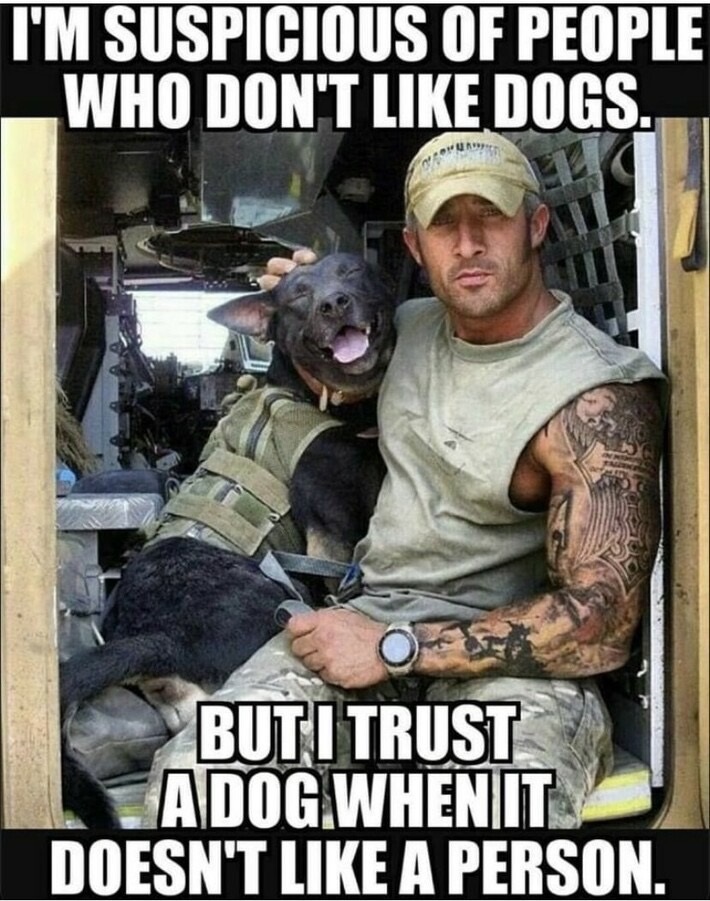 PhillipDenton's tweet photo. @mcain1954 @OzarksCurly @Armyann65D @Dreambu49405472 @carlene_ryan @MAGALinaka @Norah333Burke @okhomebody @NGunnesch1954 @GrandmaIsPissed @KaturahLerette @BischonMama Thanks Michelle, I was following everyone except 3 who haven't posted in over a year or longer and 1 who has blocked me! Thanks everyone! https://t.co/QUPsRCHWQF