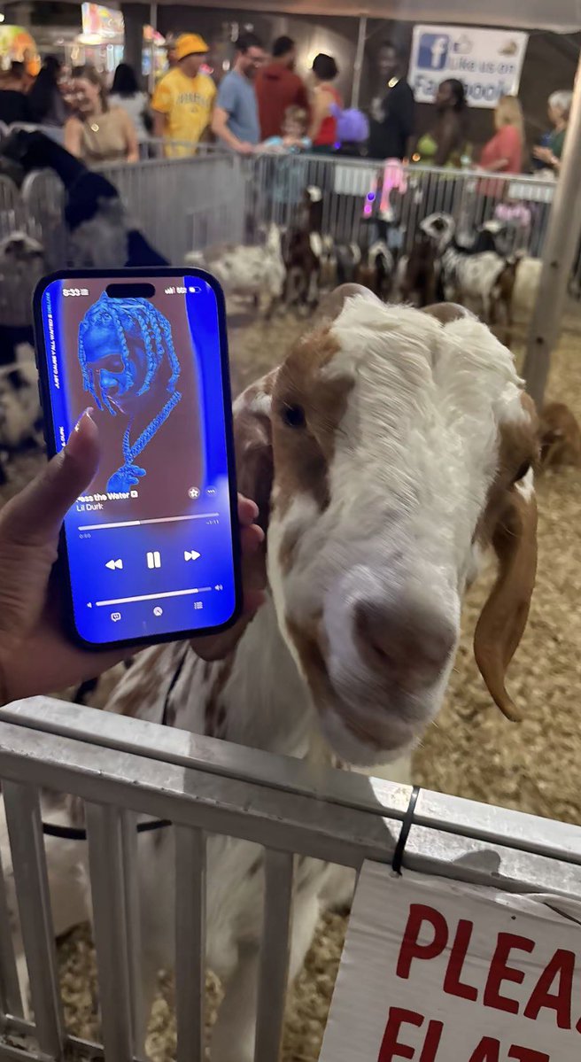 praisezsnh's tweet photo. POV: Me trying to prove Durk is the GOAT to an actual goat https://t.co/jBLcWk8vwV