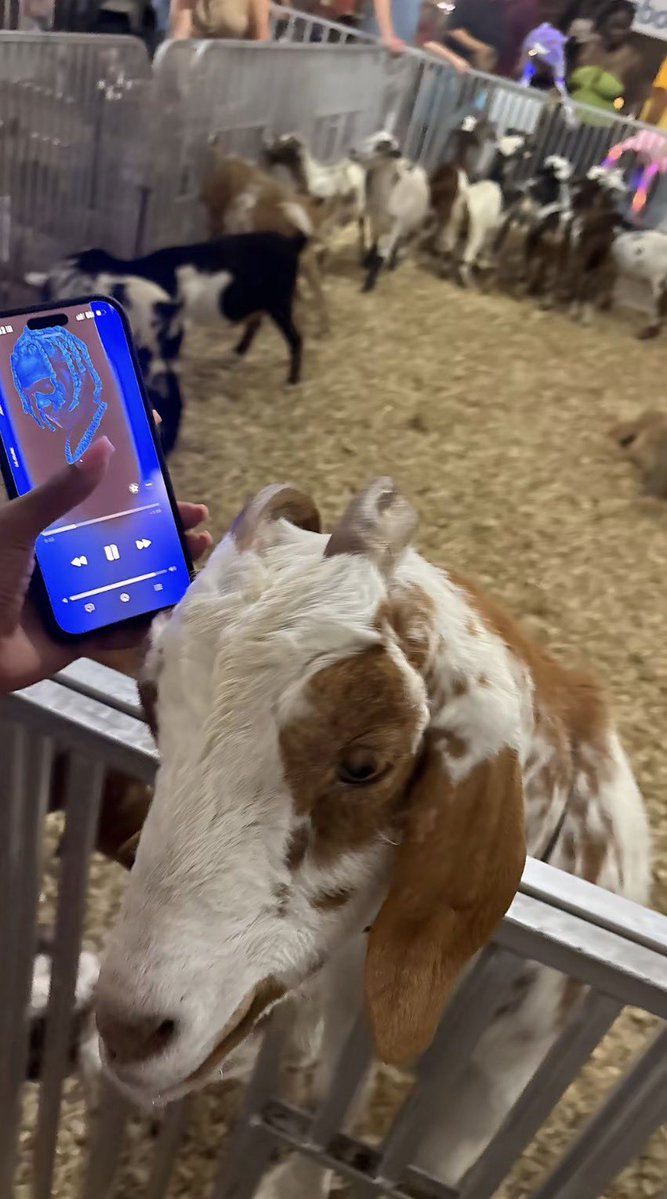 praisezsnh's tweet photo. POV: Me trying to prove Durk is the GOAT to an actual goat https://t.co/jBLcWk8vwV