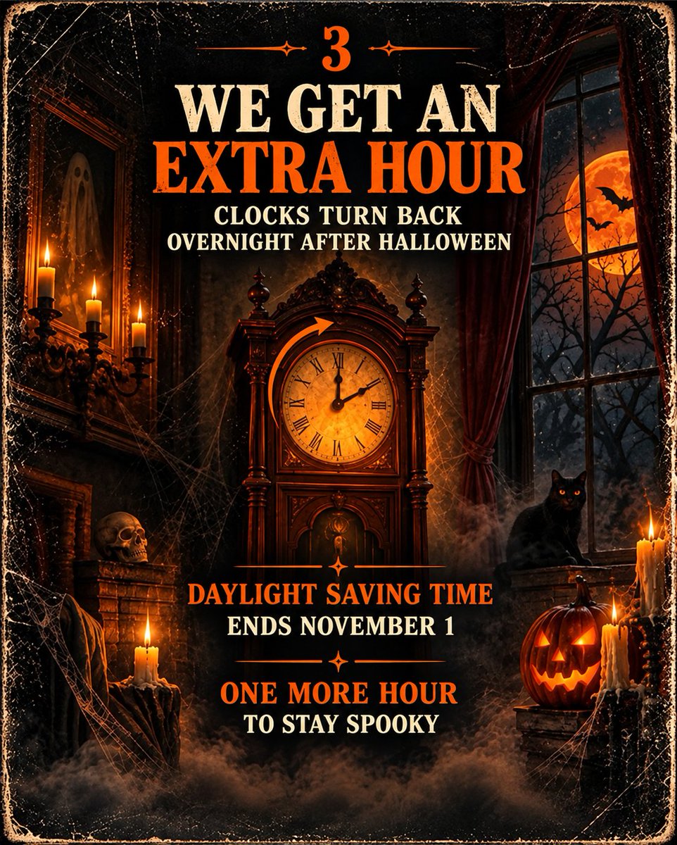 BookingTrolley's tweet photo. 🎃 POV: October 2026 is giving us EVERY reason to stay spooky! 👻🧡
#BookingTrolley #Halloween2026 #October2026 #SpookySeason #HalloweenWeekend #HalloweenVibes #WeekendGetaway #TravelInspiration #TravelGram #ExploreMore #TravelMemories #OctoberVibes #HalloweenLovers https://t.co/zXg4aQrZZ5