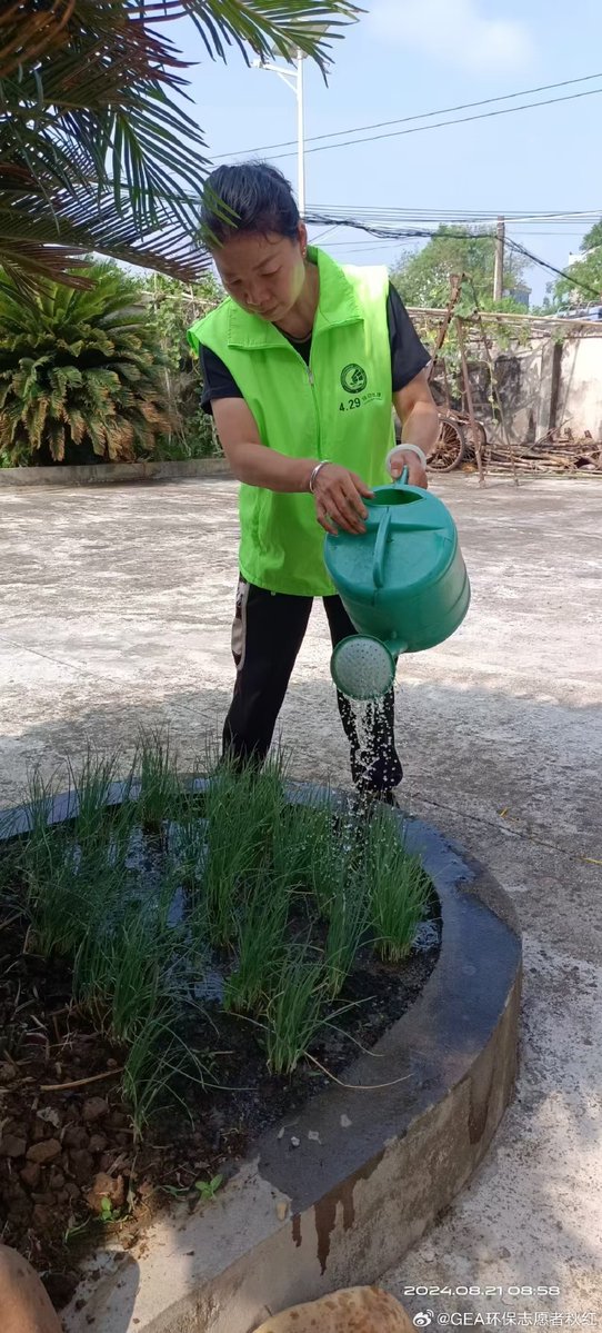 mitchwinf_254's tweet photo. [Mang Mei is so dedicated, she waters the plants fiercely every morning!]， https://t.co/jSB4Wh6Hem