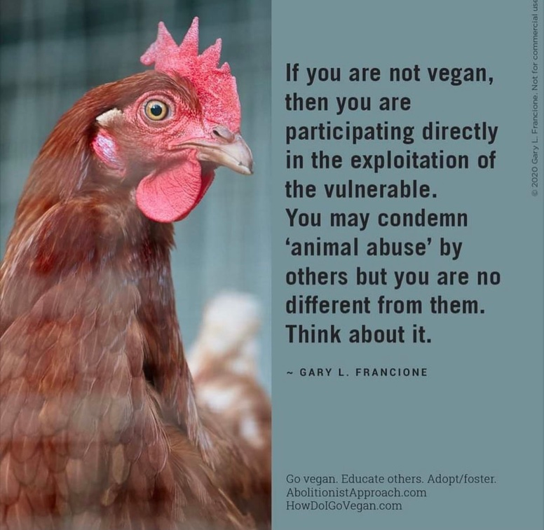 veganfuture's tweet photo. https://t.co/zTjODC9VIQ