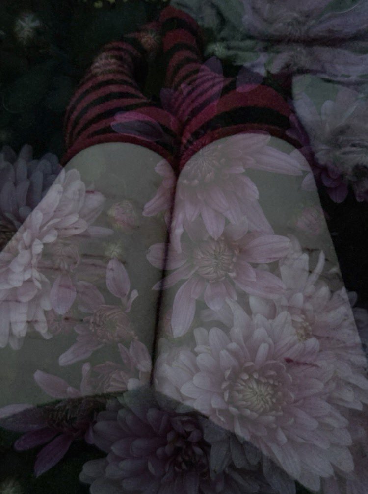 _s1lenc3d's tweet photo. I love these socks!!!

#sfx #shedrtwt https://t.co/sKYSubaGdN