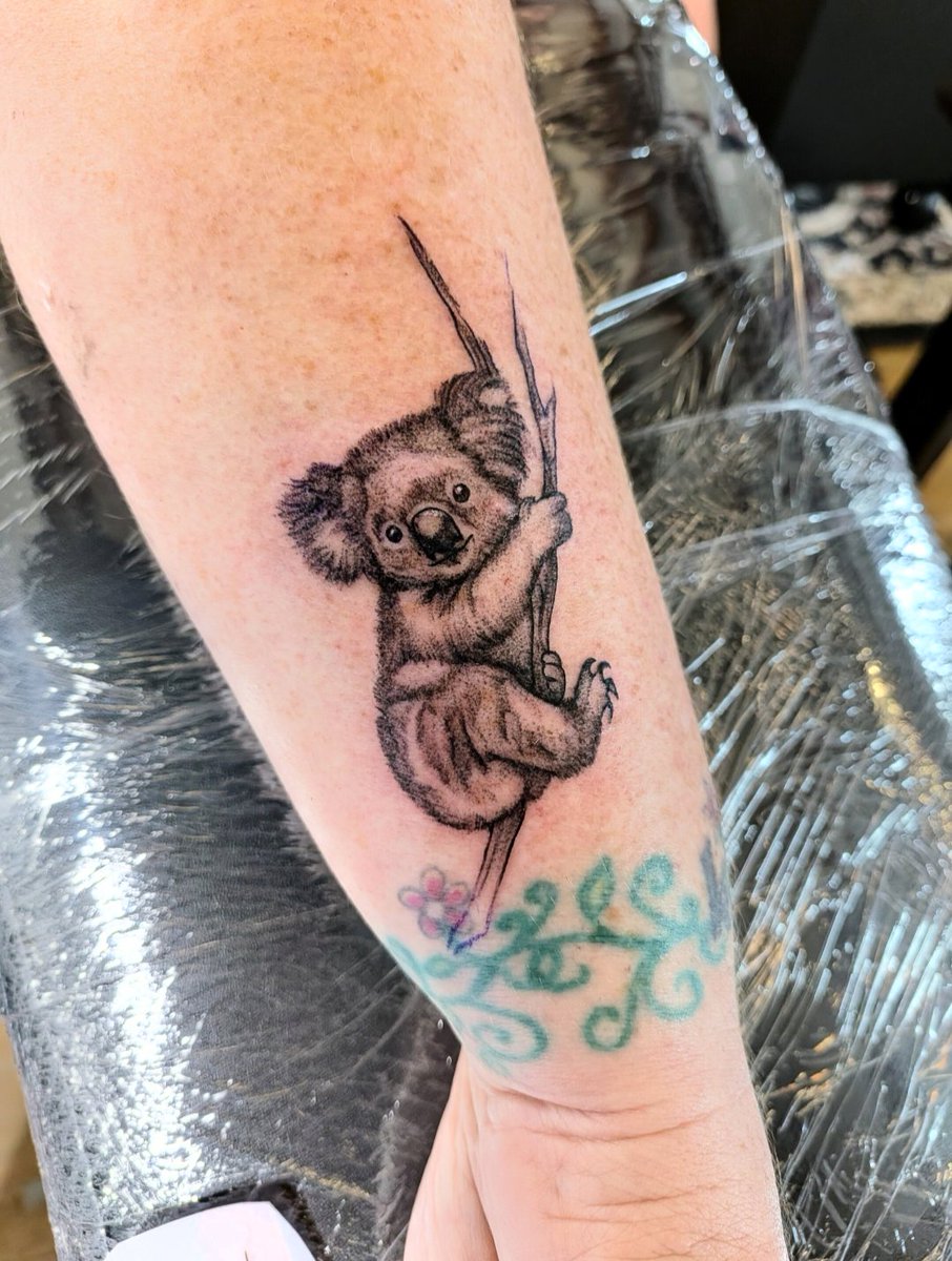 blakeyoungman's tweet photo. I love how every day is different 🙌 loved doing this little guy.

⚫ TATTOOING: @divinetattoo__ 
(AVAILABLE DESIGNS IN HIGHLIGHTS - FOR BOOKINGS DM or EMAIL blakeyoungman@gmail.com).

🎨 ART: DM or EMAIL blakeyoungman@gmail.com
(FOR PRINTS: LINK IN BIO, FOR ORIGINALS IN HIGHLIGHTS)

💰 Payment Options: Credit + Debit, Cash, Apple Pay, Google Pay, AFTERPAY, KLARNA, AFFIRM, 

💰 NEW: Antiques Of Value, Jewellery Of Value (Valuation or Receipts Required) Motorbikes, Cars, Services For Services. 

#tattoo #blackandgreytattoo #koala #koalatattoo #realismtattoo