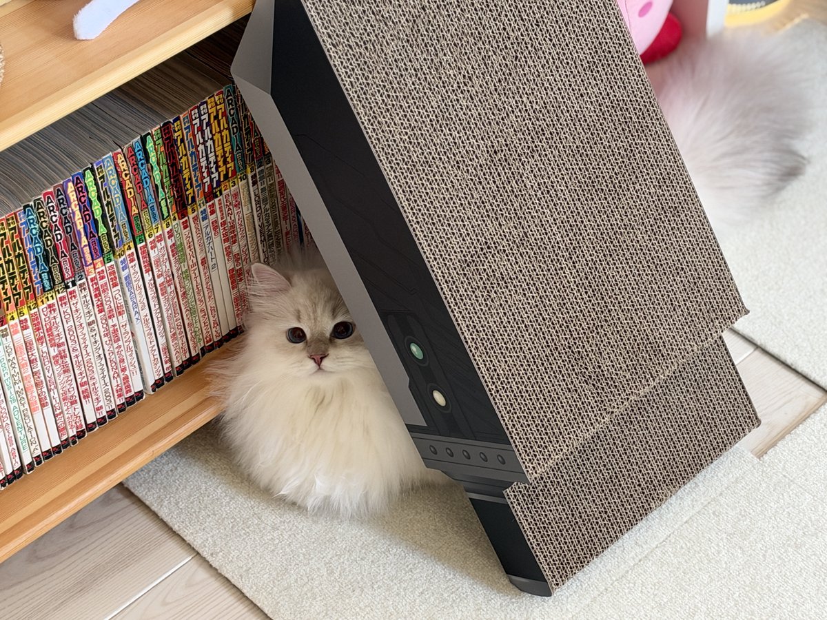 etosamacat's tweet photo. バスターソード爪研ぎに隠れがちなエトさま🐱 https://t.co/dty5WV7uMq