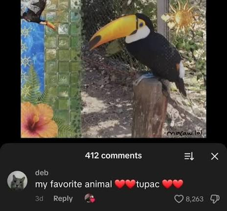 korapaikagens's tweet photo. tbm conhecido por outros como ❤️❤️tupac ❤️❤️ https://t.co/ake6Rx4cNM