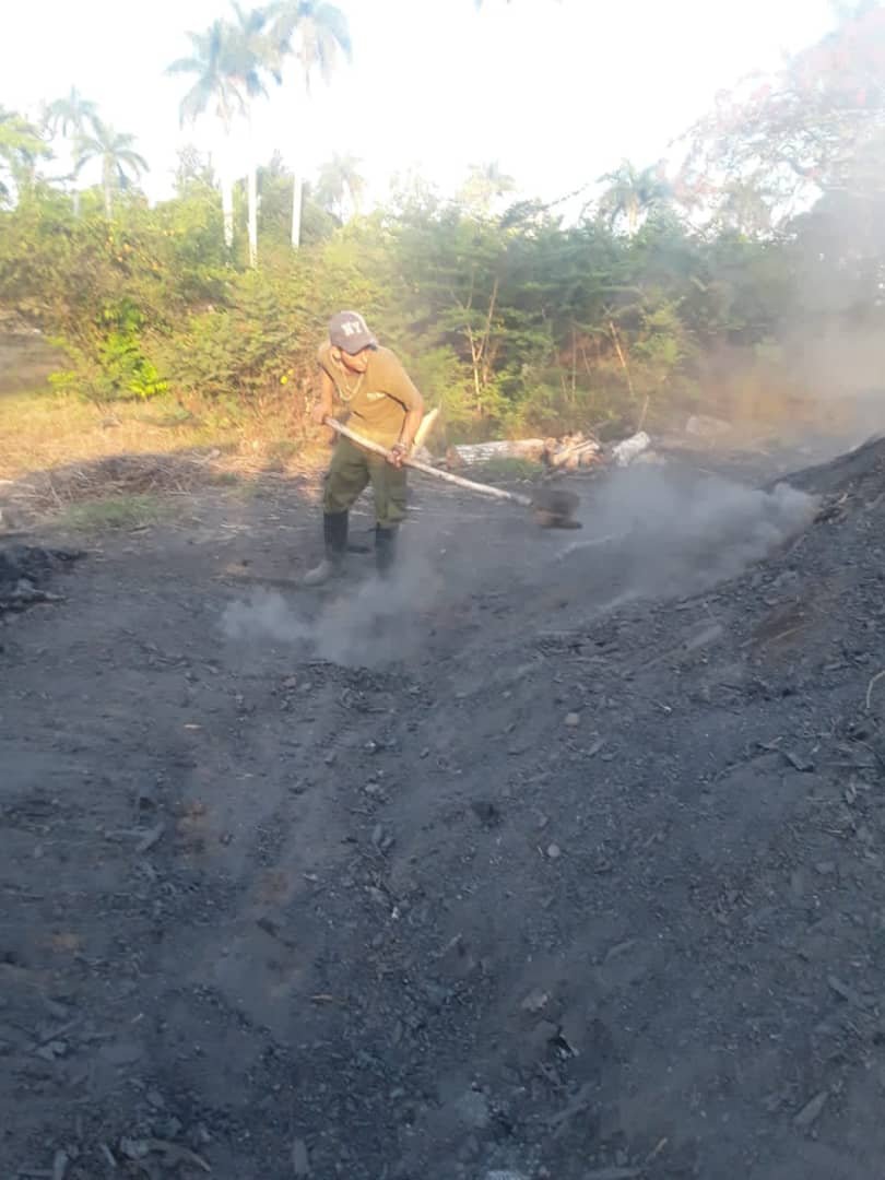 PCC__LP's tweet photo. Los trabajadores forestales del municipio #LosPalacios avanzan en la implementación de las Transformaciones Económicas y Sociales. Son pinareños que hacen Revolución todos los días.
#PinardelRío https://t.co/J7wojb3TWv