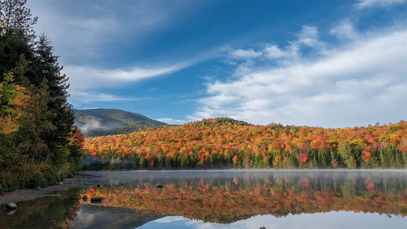 Wild Adirondacks on X: 