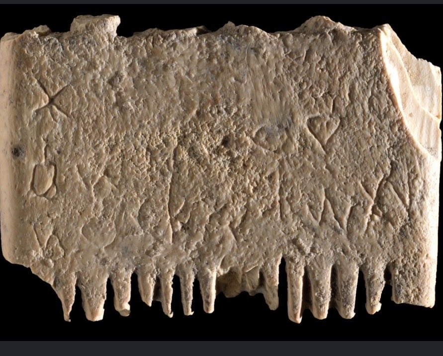 mkorn166's tweet photo. @craigcartonlive 3700 years ago the Sumerians invented a comb  for lice..
@Yankees https://t.co/J1GbyEkgRn