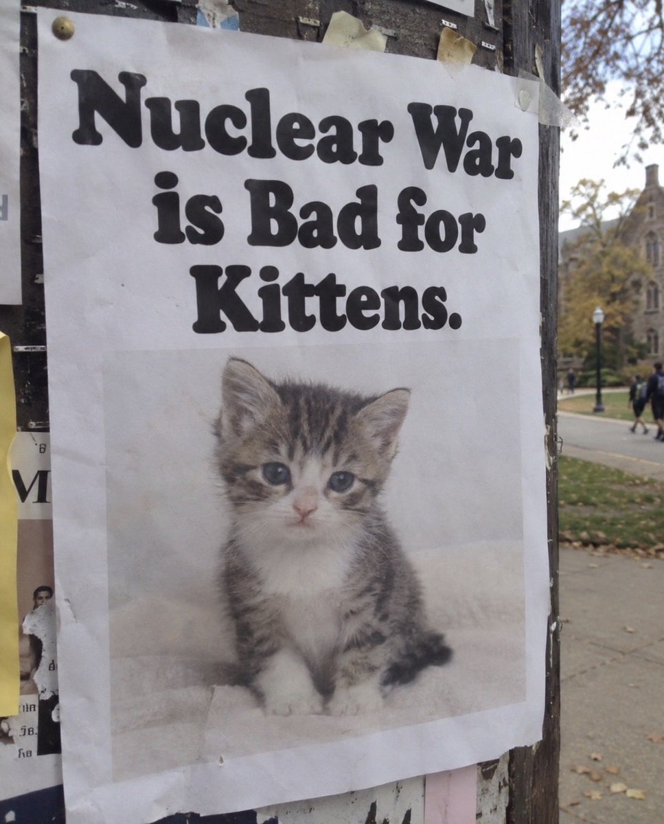 hardcatmemes's tweet photo. https://t.co/Yj8qEZTjOf