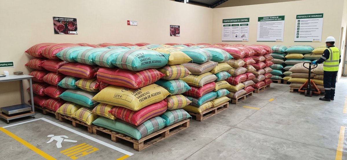 Agricultura_CZ2's tweet photo. ☕ ¡Más oportunidades para nuestros productores de café en #Napo!

7.4 toneladas de café en pergamino de la Asociación Waylla Kuri, de Archidona, fueron vinculados con una empresa privada, generando nuevas oportunidades de comercialización para los productores. 🌱🤝 https://t.co/iKwffXmGTx