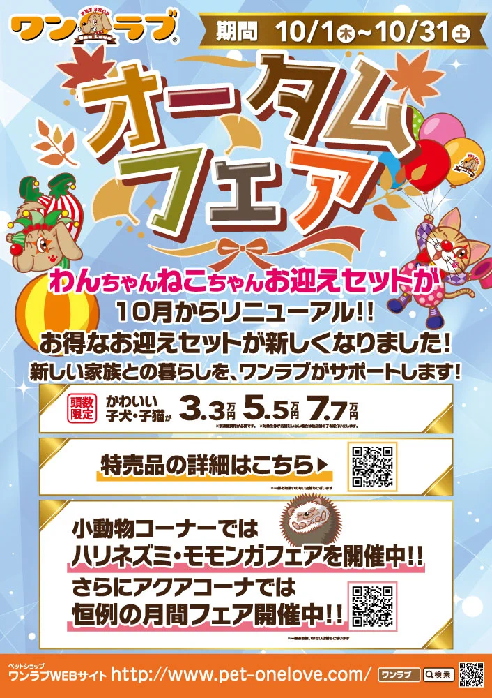 ペットショップワンラブ on X: 