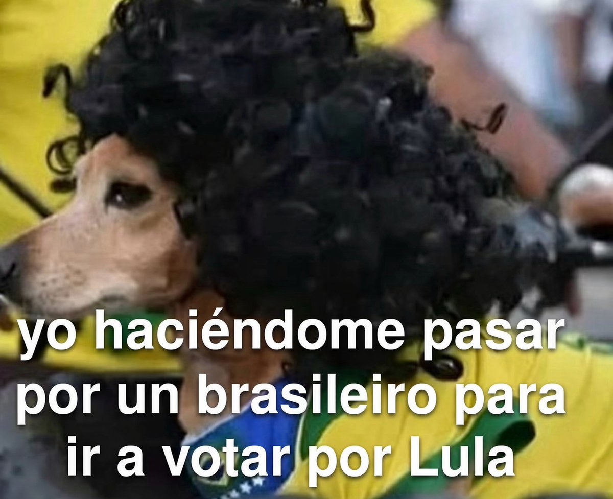 DiloConPerritos's tweet photo. Agora sou brasileiro 🇧🇷 https://t.co/N6bUAa6cuj