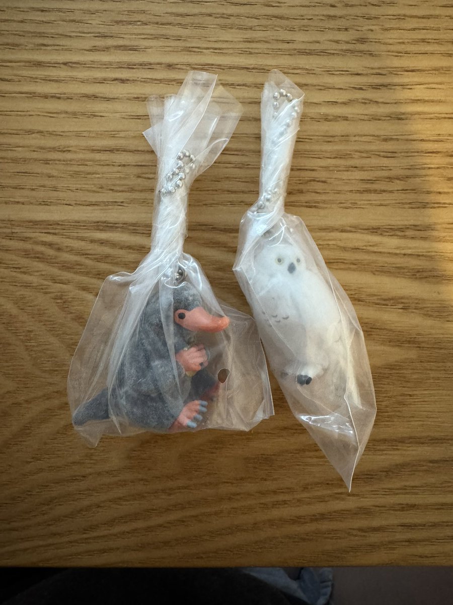 ri_180206's tweet photo. 【 交換 】ハリー・ポッター＆ファンタスティック・ビースト 魔法生物 capsule flockies チャーム ハリーポッター ファンタスティックビースト

譲）ヘドウィグ、二フラー
求）ドビー×2

本日午前中渋谷での手渡し優先

お気軽にお声がけください🙇🏻‍♀️ https://t.co/HyhQ6nDtE9