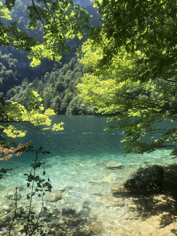 greenvibe's tweet photo. green peace https://t.co/IpPte6RGFy