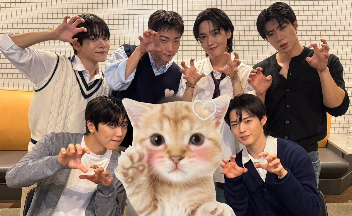 sun_nlee's tweet photo. ピッタリねこちゃんスタンプ見つけたので https://t.co/FSYfDxlPPd