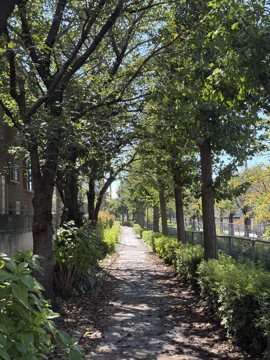 kunkka19xx's tweet photo. A sunny day after 34 consecutive days of rain in Tokyo. https://t.co/VZNe5k07sF