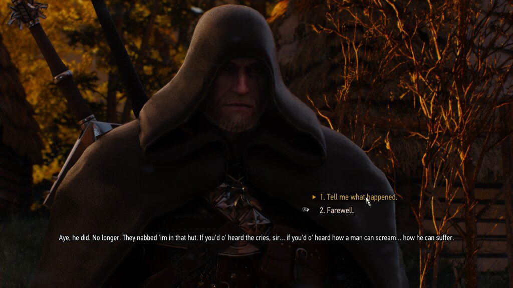 Prowlenson's tweet photo. Even just in dialogue and the damn pause menu looks amazing with the hood!!! #TheWitcher3 https://t.co/LWWpSuoZCP