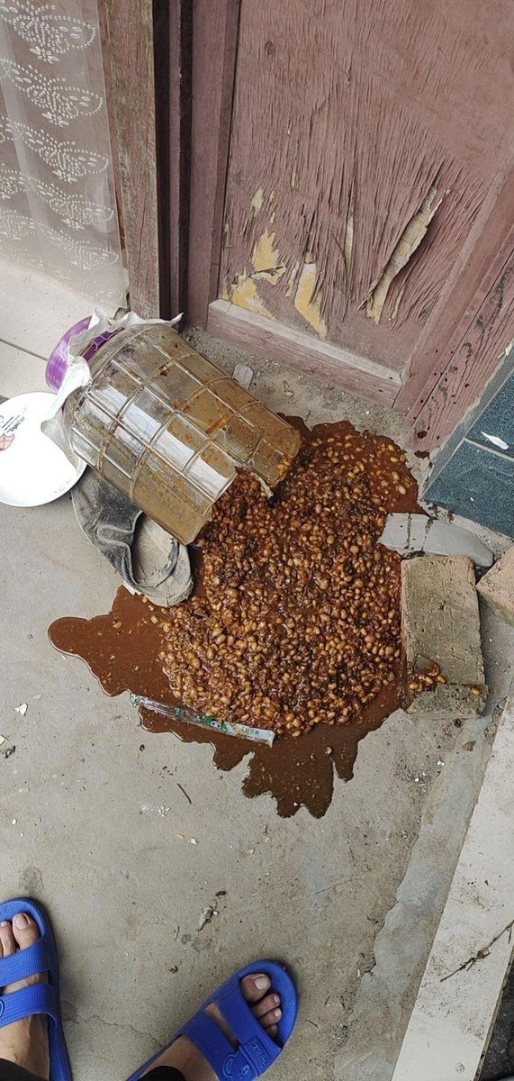 zone_amand885's tweet photo. This dog is really into eating shit that's stuck on the floor, and now it's got [屎节百] all over its paws—what a messy little guy! https://t.co/WbCYX9RCac