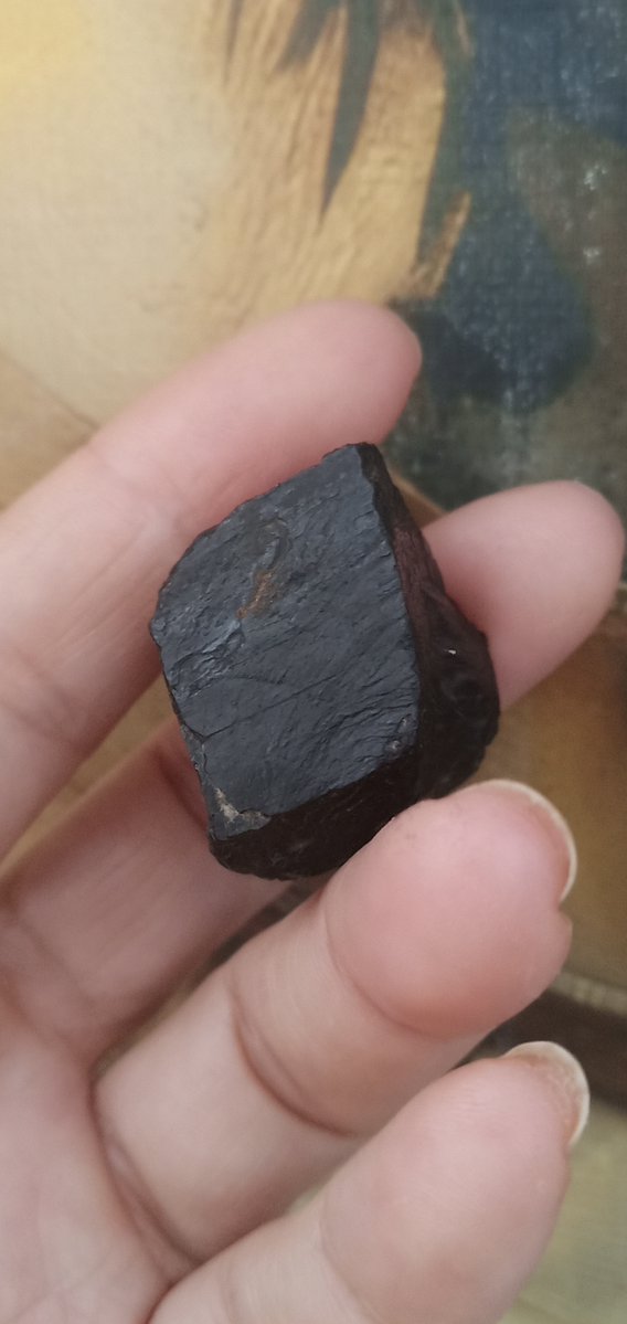hyper_crane_30's tweet photo. Who knew a salt crystal falling mid-search could grant such rare teaching inspiration today， https://t.co/MVdDioZtkE