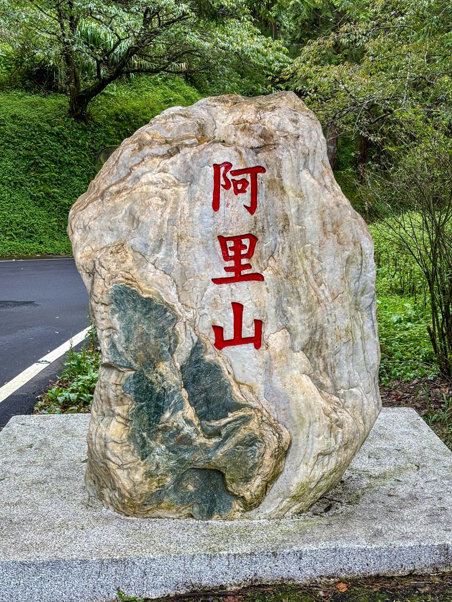 kasstaass's tweet photo. 阿里山📍 https://t.co/gLYq19dN1c